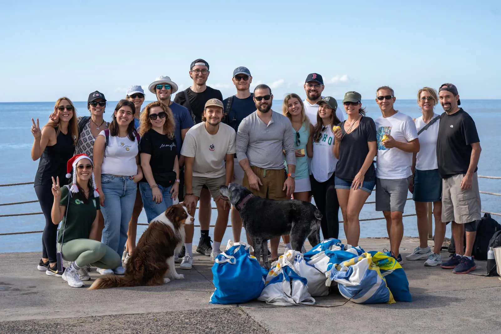 Madeira Friends volunteers cleaning a beach with collection bags